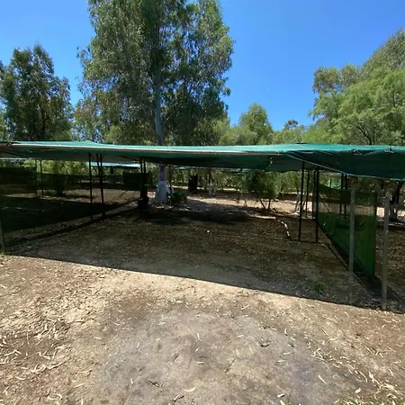 Dias Campingplatz Gythio